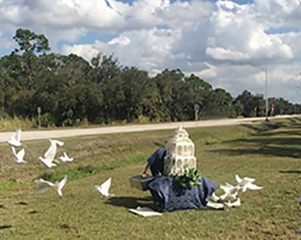 roadside dove release